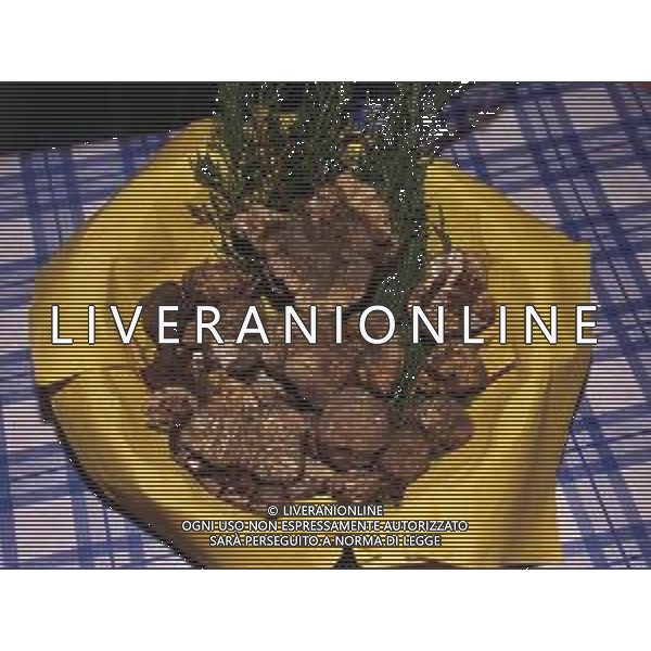 ST-CERCATORI DI TARTUFI BIANCHI NELLA FOTO TARTUFO BIANCO AG ALDO LIVERANI SAS
