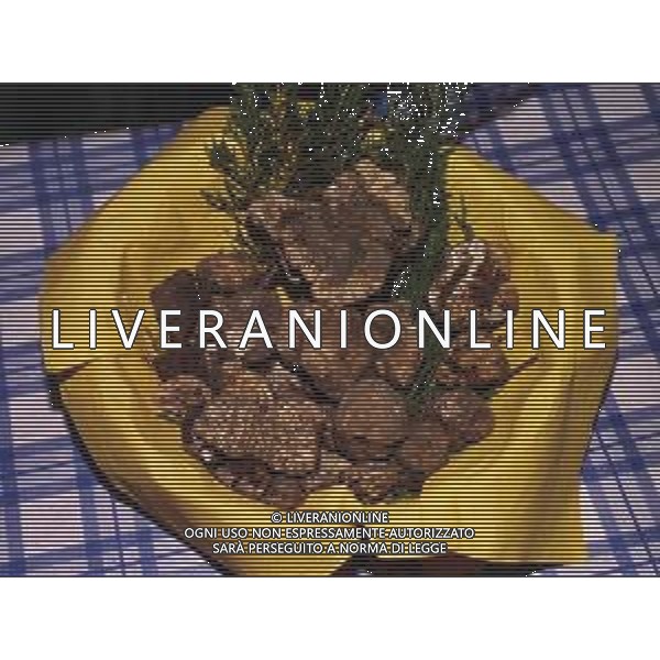 ST-CERCATORI DI TARTUFI BIANCHI NELLA FOTO TARTUFO BIANCO AG ALDO LIVERANI SAS