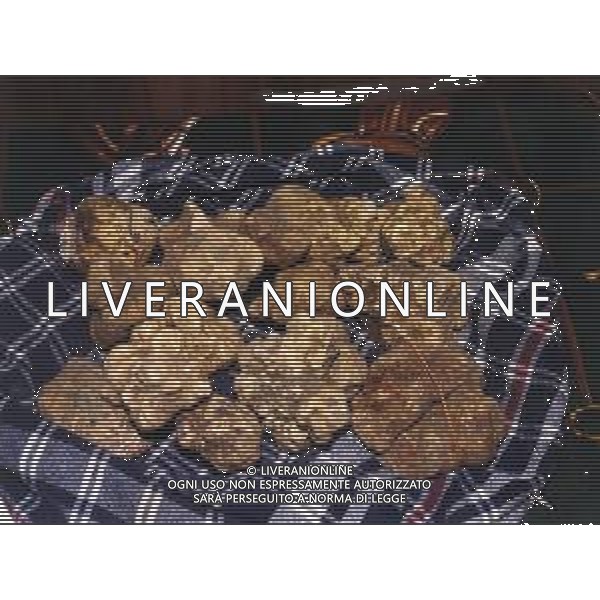 ST-CERCATORI DI TARTUFI BIANCHI NELLA FOTO TARTUFO BIANCO AG ALDO LIVERANI SAS