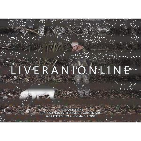 ST-CERCATORI DI TARTUFI BIANCHI NELLA FOTO CERCATORI DI TARTUFO CON CANE AG ALDO LIVERANI SAS