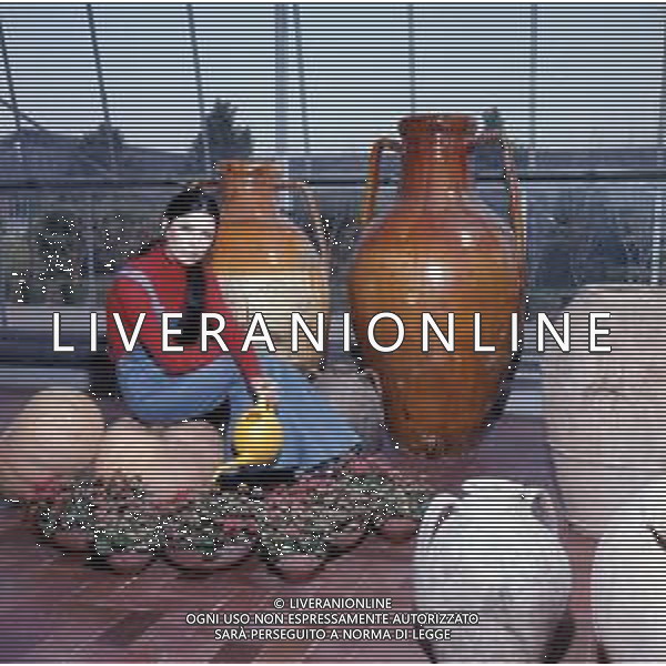 COL- RETROSPETTIVA ROSANNA FRATELLO CANTANTE E ATTRICE ITALIANA NELLA FOTO ROSANNA FRATELLO A GALLARATE ALLA SERRA IDEA VERDE NELL\'ANNO 1972 AG ALDO LIVERANI SAS