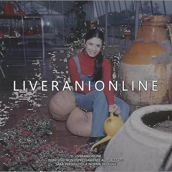 COL- RETROSPETTIVA ROSANNA FRATELLO CANTANTE E ATTRICE ITALIANA NELLA FOTO ROSANNA FRATELLO A GALLARATE ALLA SERRA IDEA VERDE NELL\'ANNO 1972 AG ALDO LIVERANI SAS