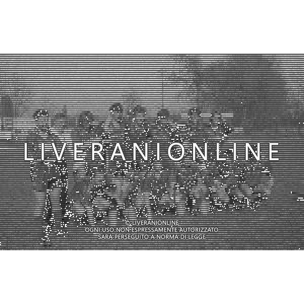 NEG-1993-1994 -CAMPIONATO PRIMAVERA PARTITA INTER-ROMA FINALE DI COPPA ITALIA ANDATA NELLA FOTO FRANCESCO TOTTI E I COMPAGNI DELLA ROMA FESTEGGIANO LA VITTORIA A FINE GARA AG ALDO LIVERANI SAS
