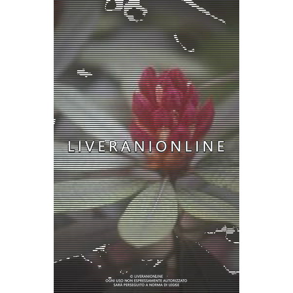 DIAP- FIORE RODODENDRO AG ALDO LIVERANI SAS