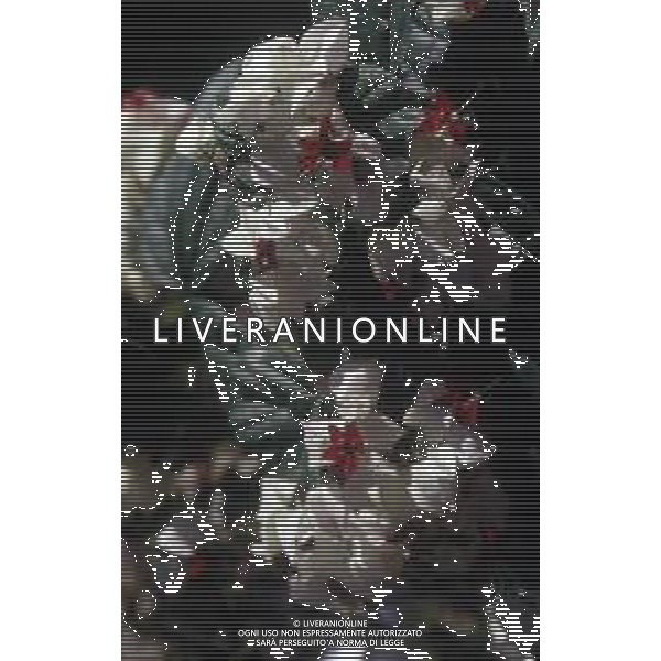 DIAP- FIORE RODODENDRO AG ALDO LIVERANI SAS