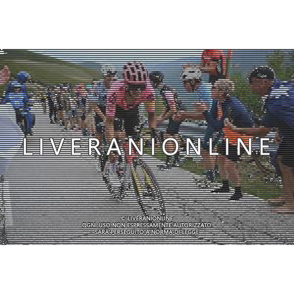 30-08-2024 Vuelta A Espana; Tappa 13 Lugo - Puerto De Ancares; 2024, Ef Education - Easypost; Carapaz Antonio, Richard Antonio; Puerto De Ancares; ©SIROTTI / AGENZIA ALDO LIVERANI SAS