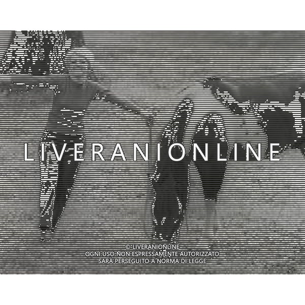 NEG-RETROSPETTIVA RITA PAVONE CANTANTE NELLA FOTO RITA PAVONE NELL\'ANNO 1968 A ROMA CON CAVALLO AG ALDO LIVERANI SAS 