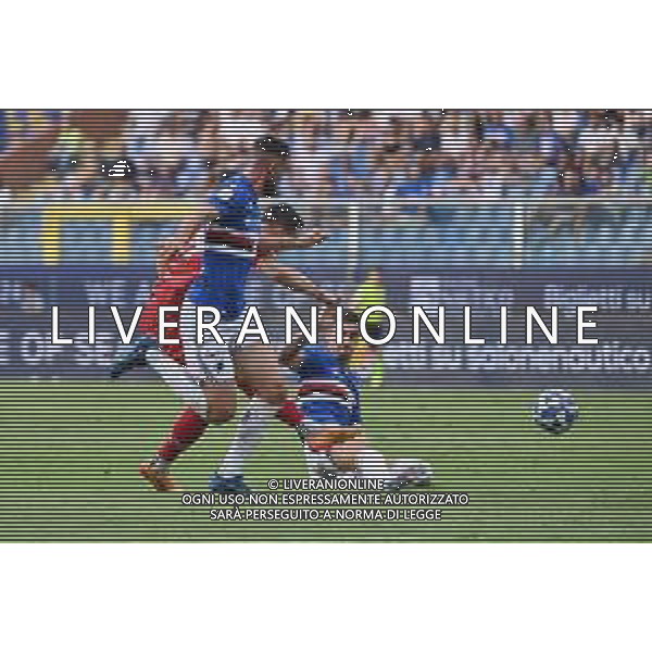 TVRG Sampdoria vs Bari nella foto Kevin Lasagna (Bari) segna il gol dell\'1 a 0 ma la rete viene annullata per fuorigioco Genova 31-08-2024 Stadio Luigi Ferraris - Marassi Campionato Serie BKT - 4a giornata foto Roberto Garavaglia/Agenzia Aldo Liverani sas
