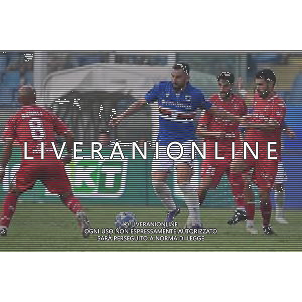 TVRG Sampdoria vs Bari nella foto Massimo Coda (Sampdoria) Genova 31-08-2024 Stadio Luigi Ferraris - Marassi Campionato Serie BKT - 4a giornata foto Roberto Garavaglia/Agenzia Aldo Liverani sas