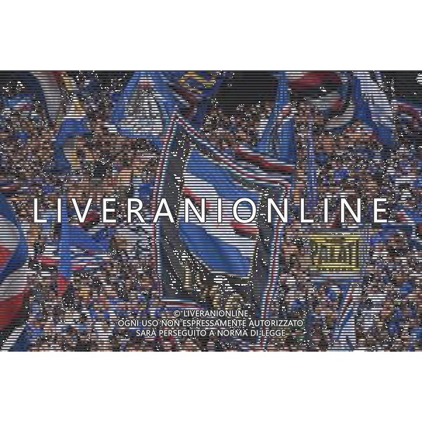 TVRG Sampdoria vs Bari nella foto tifosi Sampdoria Genova 31-08-2024 Stadio Luigi Ferraris - Marassi Campionato Serie BKT - 4a giornata foto Roberto Garavaglia/Agenzia Aldo Liverani sas