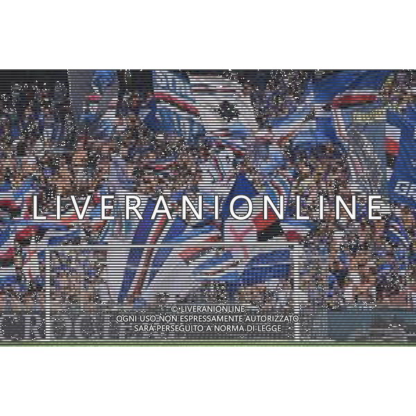 TVRG Sampdoria vs Bari nella foto tifosi Sampdoria Genova 31-08-2024 Stadio Luigi Ferraris - Marassi Campionato Serie BKT - 4a giornata foto Roberto Garavaglia/Agenzia Aldo Liverani sas