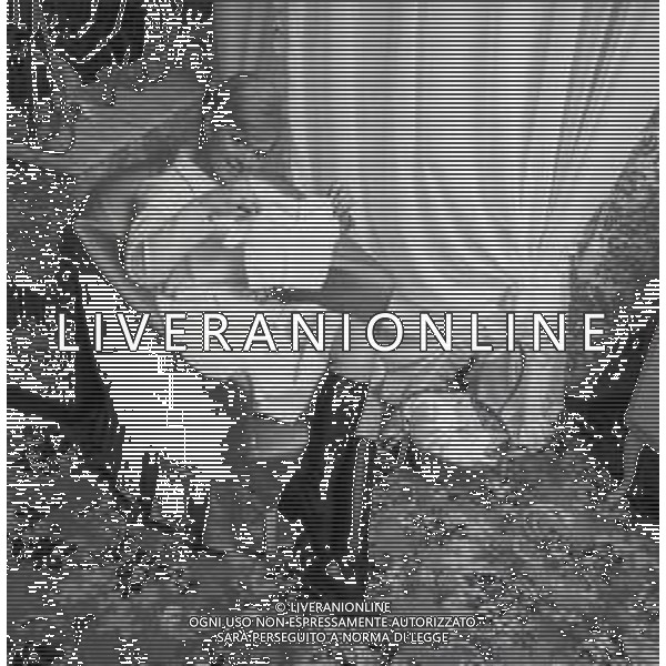 NEG-RETROSPETTIVA RITA PAVONE CANTANTE NELLA FOTO RITA PAVONE A ROMA ANNO 1968-1969 AG ALDO LIVERANI SAS  