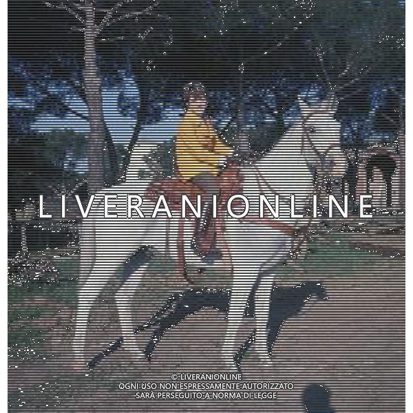 COL-RETROSPETTIVA RITA PAVONE CANTANTE NELLA FOTO RITA PAVONE A CAVALLO AG ALDO LIVERANI SAS