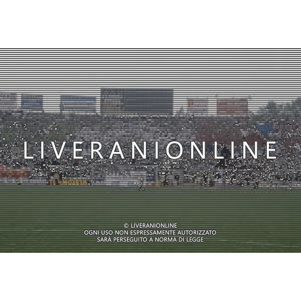 DIAP-RETROSPETTIVA TIFOSI JUVENTUS CALCIO NELLA FOTO I TIFOSI DELLA JUVENTUS FESTEGGIANO IL 19 SCUDETTO NELLA PARTITA JUVENTUS-FIORENTINA NELL\'ANNO 1981 FOTO ENRICO LIVERANI-AG ALDO LIVERANI SAS 
