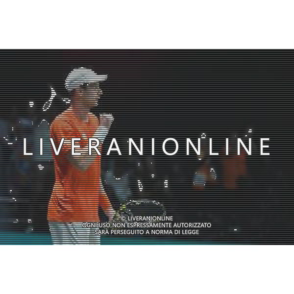 BOLOGNA, ITALIA - 10 September: L\'olandese Botic van de Zandschulp nel match contro il belga Raphael Collignon in Davis Cup alla Unipol Arena di Bologna - Tennis, Davis Cup, Olanda, Belgio ©Andrea Rosito - AGENZIA ALDO LIVERANI SAS