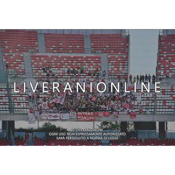 TVEM September 14, 2024 Bari, Italy - SSC Bari vs Mantova - Italian soccer serie B 2024/25 - San Nicola Stadium. In the pic: Supporters of Mantova 1911 foto emmanuele mastrodonato-ag aldo liverani sas