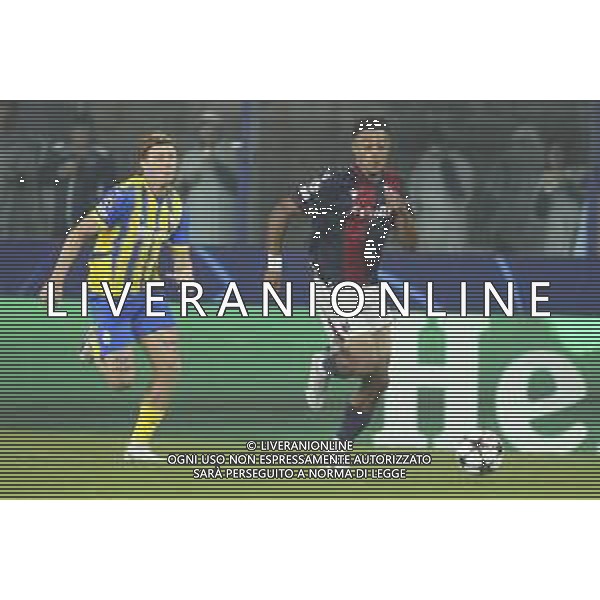Dan Ndoye of Bologna FC competes for the ball with Kyrylo Siheyev of Shakhtar Donetsk during Bologna BFC vs Shakhtar Donetsk FC, 1° round of Chanpions League 2024-25, game at Renato Dall\'Ara stadium in Bologna (BO), Italy, on September 18, 2024. (Photo by Davide Casentini) AG ALDO LIVERANI SAS