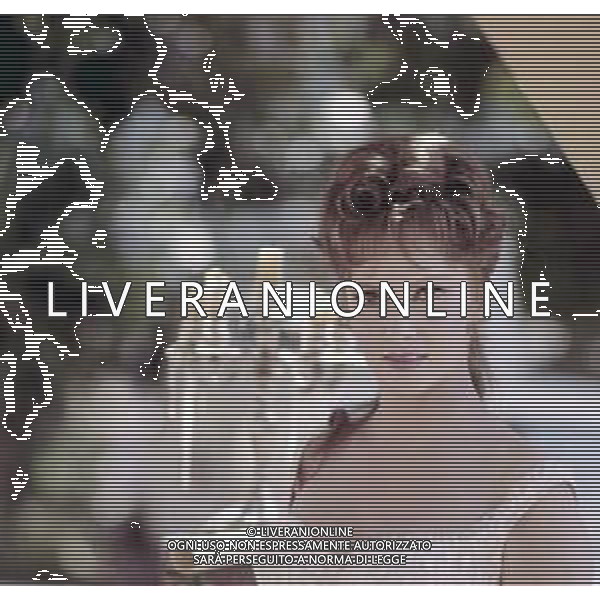 COL-GINA LOLLOBRIGIDA ATTRICE ITALIANA - RETROSPETTIVA NELLA FOTO GINA LOLLOBRIGIDA NEL FILM \'LE PIACEVOLI NOTTI\' NELL\'ANNO 1966 ©ARCHIVIO AGENZIA ALDO LIVERANI SAS