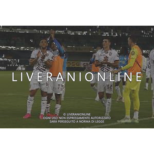Torino players celebrate the victory at the end of Hellas Verona FC vs Torino FC , 5° Serie A Enilive 2024-25 game at Marcantonio Bentegodi Stadium in Verona (VR), Italy, on September 20, 2024. (Photo by Davide Casentini)/AGENZIA ALDO LIVERANI SAS