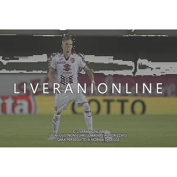 Ivan Ilic of Torino FC play the ball during Hellas Verona FC vs Torino FC , 5° Serie A Enilive 2024-25 game at Marcantonio Bentegodi Stadium in Verona (VR), Italy, on September 20, 2024. (Photo by Davide Casentini)/AGENZIA ALDO LIVERANI SAS
