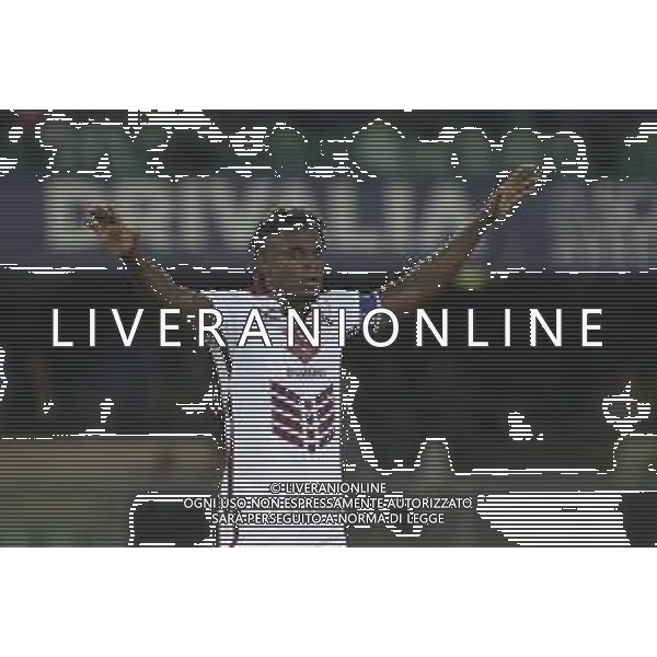 Duvan Zapata of Torino FC gestures during Hellas Verona FC vs Torino FC , 5° Serie A Enilive 2024-25 game at Marcantonio Bentegodi Stadium in Verona (VR), Italy, on September 20, 2024. (Photo by Davide Casentini)/AGENZIA ALDO LIVERANI SAS