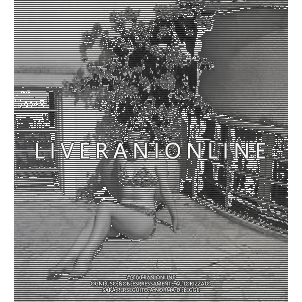 NEG-RETROSPETTIVA GINA LOLLOBRIGIDA ATTRICE NELLA FOTO GINA LOLLOBRIGIDA IN PISCINA NEGLI ANNI 50 A ROMA AG ALDO LIVERANI SAS