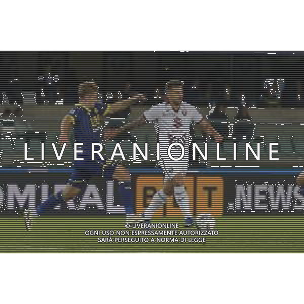 Karol Linetty of Torino FC battle for the ball with Martin Frese of Hellas Verona FC during Hellas Verona FC vs Torino FC , 5° Serie A Enilive 2024-25 game at Marcantonio Bentegodi Stadium in Verona (VR), Italy, on September 20, 2024. (Photo by Davide Casentini)/AGENZIA ALDO LIVERANI SAS