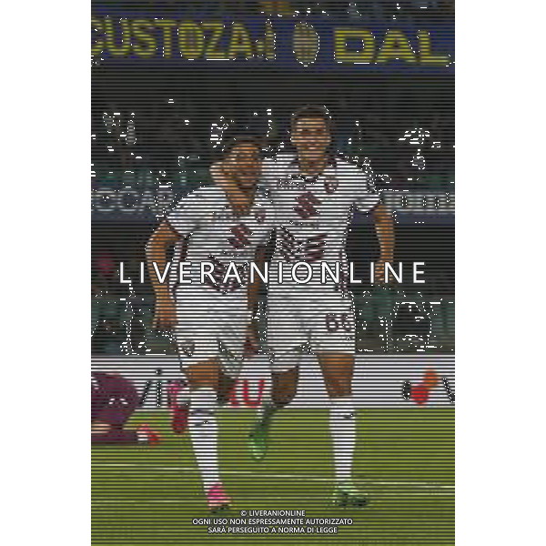 Ché Adams of Torino FC celebrates with Gvidas Gineitis of Torino FC during Hellas Verona FC vs Torino FC , 5° Serie A Enilive 2024-25 game at Marcantonio Bentegodi Stadium in Verona (VR), Italy, on September 20, 2024. (Photo by Davide Casentini)/AGENZIA ALDO LIVERANI SAS