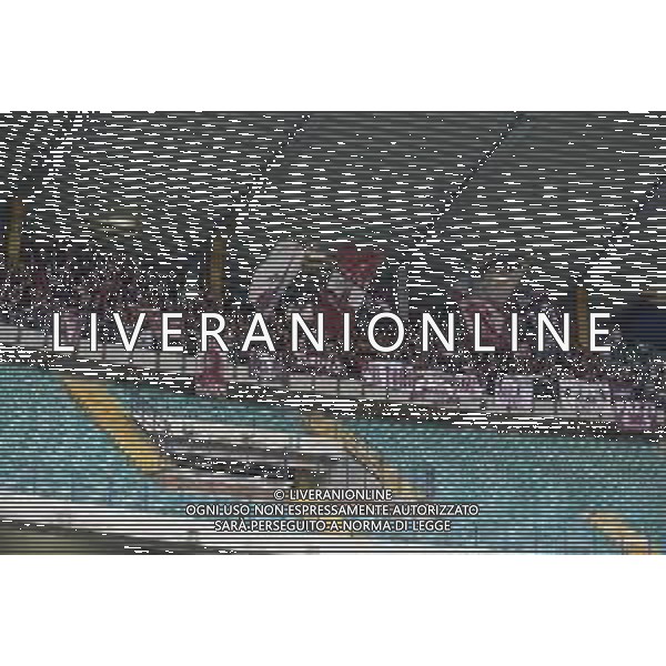 Torino fans show their support douring Hellas Verona FC vs Torino FC , 5° Serie A Enilive 2024-25 game at Marcantonio Bentegodi Stadium in Verona (VR), Italy, on September 20, 2024. (Photo by Davide Casentini)/AGENZIA ALDO LIVERANI SAS
