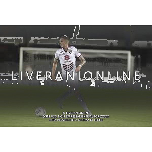 Ivan Ilic of Torino FC play the ball during Hellas Verona FC vs Torino FC , 5° Serie A Enilive 2024-25 game at Marcantonio Bentegodi Stadium in Verona (VR), Italy, on September 20, 2024. (Photo by Davide Casentini)/AGENZIA ALDO LIVERANI SAS