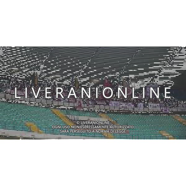 Torino fans show their support during Hellas Verona FC vs Torino FC , 5° Serie A Enilive 2024-25 game at Marcantonio Bentegodi Stadium in Verona (VR), Italy, on September 20, 2024. (Photo by Davide Casentini)/AGENZIA ALDO LIVERANI SAS