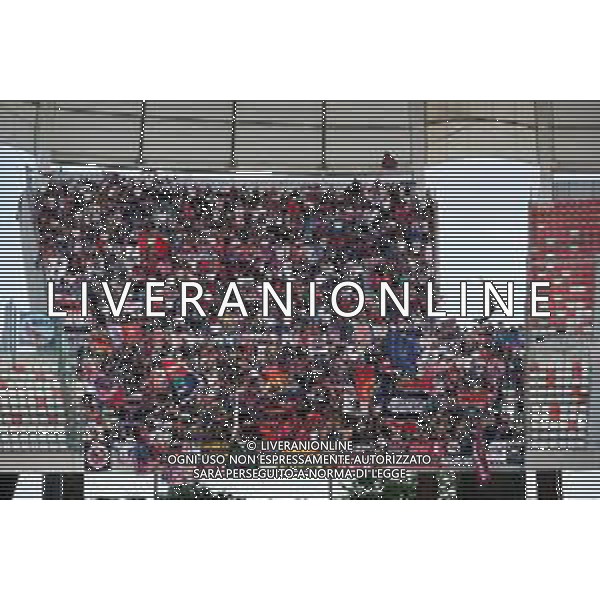 TVEM September 28, 2024 Bari, Italy - SSC Bari vs Cosenza Calcio - Italian soccer serie B 2024/25 - San Nicola Stadium. In the pic: Supporters of Cosenza Calcio ©Emmanuele Mastrodonato/AGENZIA ALDO LIVERANI SAS