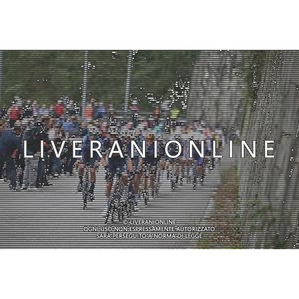 07-10-2024 Coppa Bernocchi; 2024, Soudal - Quick Step; Evenepoel, Remco; Salita Piccolo Stelvio;