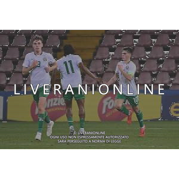 TVRG Italia vs Repubblica d’Irlanda nella foto esultanza Repubblica d\'Irlanda dopo il gol dell\'1 a 1 Trieste 15-10-2024 Stadio Nereo Rocco Campionato Europeo UEFA Under21 Girone di qualificazione Gruppo A - 10a giornata foto Roberto Garavaglia/Agenzia Aldo Liverani sas
