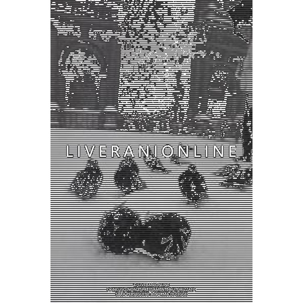 NEG-MILANO FORTE NEVICATA NELLA CIITA\' ANNO 1985 AG ALDO LIVERANI SAS