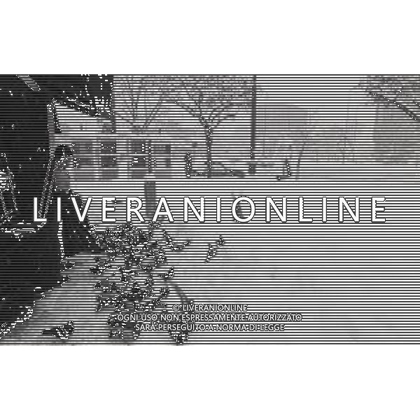 NEG-MILANO FORTE NEVICATA NELLA CIITA\' ANNO 1985 AG ALDO LIVERANI SAS