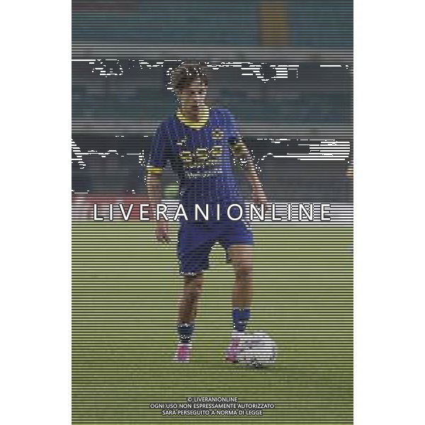 Domagoj Bradaric of Hellas Verona FC play the ball during Hellas Verona FC vs AC Monza, 8° Serie A Enilive 2024-25 game at Marcantonio Bentegodi Stadium in Verona (VR), Italy, on October 21, 2024. (Photo by Davide Casentini) AG ALDO LIVERANI SAS