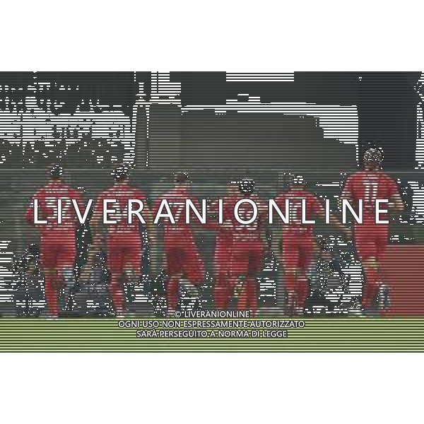 Dany Mota Carvalho of AC Monza celebrates after scoring during Hellas Verona FC vs AC Monza, 8° Serie A Enilive 2024-25 game at Marcantonio Bentegodi Stadium in Verona (VR), Italy, on October 21, 2024. (Photo by Davide Casentini) AG ALDO LIVERANI SAS