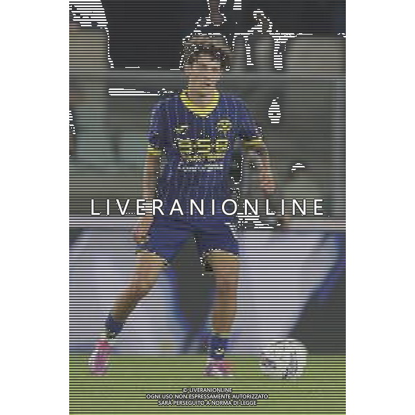 Domagoj Bradaric of Hellas Verona FC play the ball during Hellas Verona FC vs AC Monza, 8° Serie A Enilive 2024-25 game at Marcantonio Bentegodi Stadium in Verona (VR), Italy, on October 21, 2024. (Photo by Davide Casentini) /AGENZIA ALDO LIVERANI SAS