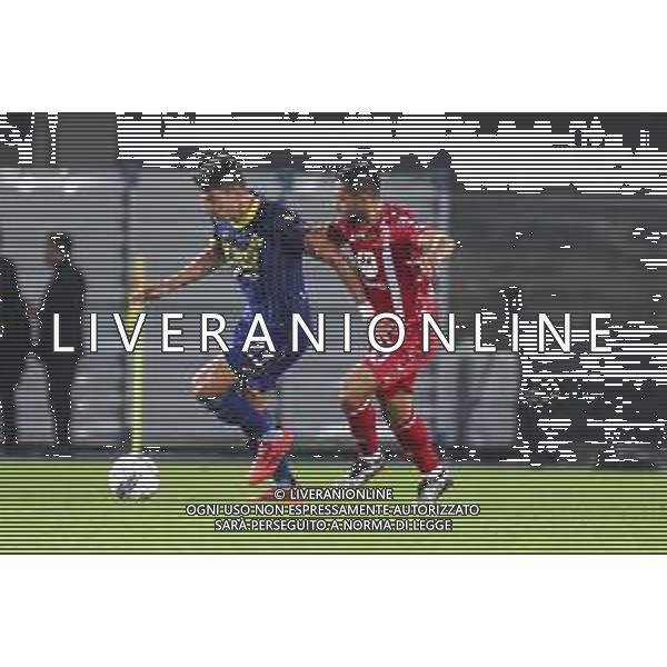 Gianluca Caprari of AC Monza competes for the ball with Giangiacomo Magnani of Hellas Verona FC during Hellas Verona FC vs AC Monza, 8° Serie A Enilive 2024-25 game at Marcantonio Bentegodi Stadium in Verona (VR), Italy, on October 21, 2024. (Photo by Davide Casentini) /AGENZIA ALDO LIVERANI SAS
