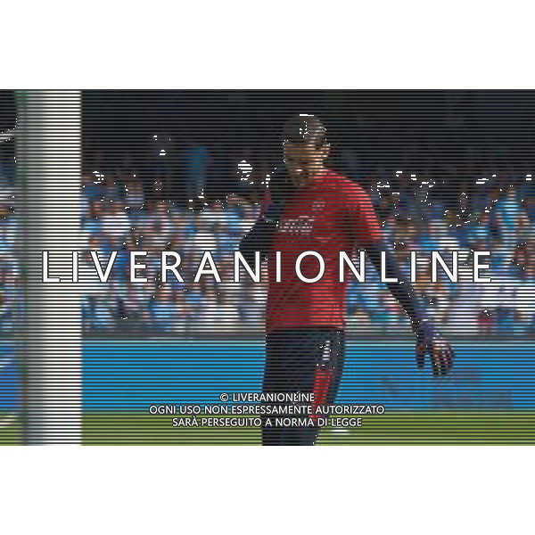 TVEM October 26, 2024 Napoli, Italy - SSC Napoli vs US Lecce - Italian soccer serie A 2024/25 - Diego Armando Maradona Stadium. In the pic: Alex Meret of SSC Napoli foto emmanuele mastrdonato-ag aldo liverani sas