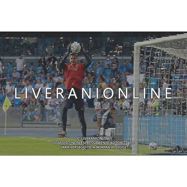 TVEM October 26, 2024 Napoli, Italy - SSC Napoli vs US Lecce - Italian soccer serie A 2024/25 - Diego Armando Maradona Stadium. In the pic: Alex Meret of SSC Napoli foto emmanuele mastrdonato-ag aldo liverani sas