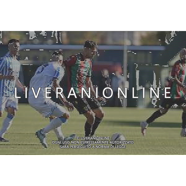 Ternana vs Spal - Campionato Serie C Now - 13 giornata Stadio L.Liberati - Terni 02-11-2024 nella foto Corradini e Bruscagin foto federico gaetano-ag aldo liverani sas