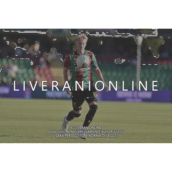 Ternana vs Spal - Campionato Serie C Now - 13 giornata Stadio L.Liberati - Terni 02-11-2024 nella foto Kees De Boer foto federico gaetano-ag aldo liverani sas