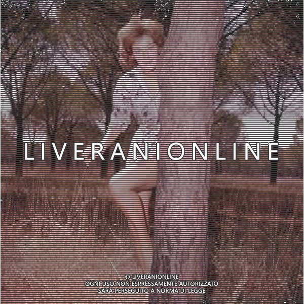 COL-RETROSPETTIVA LILLY ( LILLI )LEMBO ATTRICE NELLA FOTO LILLY LEMBO NEGLI ANNI ’60 ©ARCHIVIO GIOVANNI LIVERANI-AG ALDO LIVERANI SAS