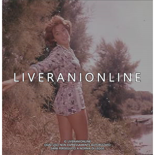 COL-RETROSPETTIVA LILLY ( LILLI )LEMBO ATTRICE NELLA FOTO LILLY LEMBO NEGLI ANNI ’60 ©ARCHIVIO GIOVANNI LIVERANI-AG ALDO LIVERANI SAS