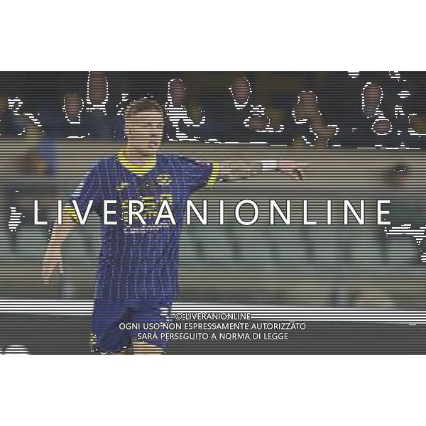 Tomas Suslov of Hellas Verona FC gestures during Hellas Verona FC vs AS Roma, 11° Serie A Enilive 2024-25 game at Marcantonio Bentegodi stadium in Verona (VR), Italy, on November 03, 2024. (Photo by Davide Casentini)-AGENZIA ALDO LIVERANI SAS