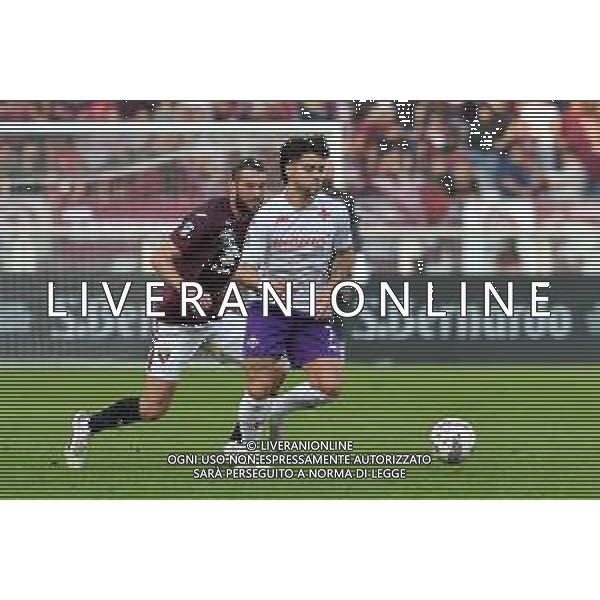 TVMV-Torino 03.11.2024 Stadio Grande Torino @Manuela Viganti/Ag. Aldo Liverani sas Torino vs Fiorentina Campionato Calcio Serie A Enilive 2024/2025 11a giornata Nella foto: riccardo sottil