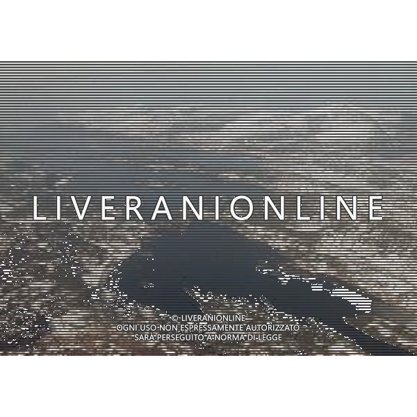 DIAP- NORVEGIA CITTA \' MOLDE ANNI 70 FOTO CARLO LORENZINI-AG ALDO LIVERANI SAS