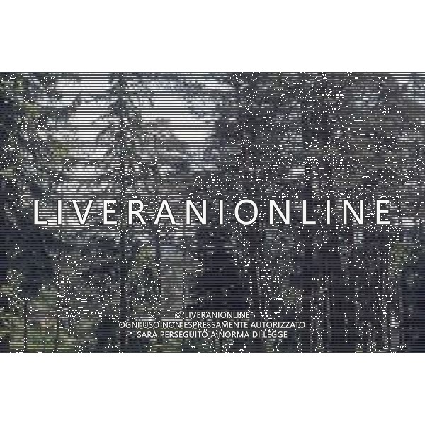 DIAP- NORVEGIA CITTA \' OSLO ANNI 70 VEDUTE DALLE COLLINE FOTO CARLO LORENZINI-AG ALDO LIVERANI SAS